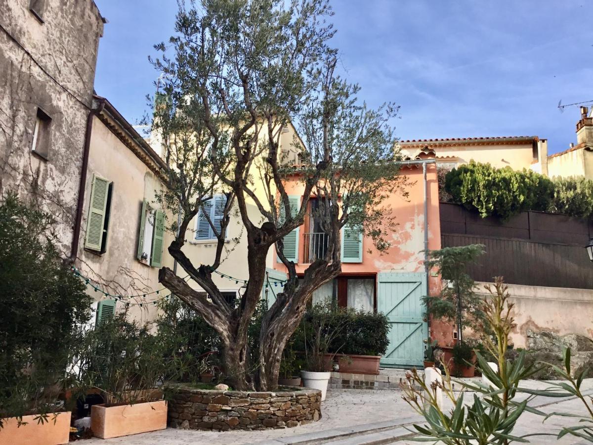 Apartamento Ravissant Climatise Gambetta Misericorde Au Coeur De *